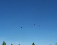 Oct 1st_ Chopper formation passover..JPG