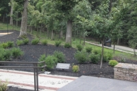 4-Cremains Memorial Site.JPG
